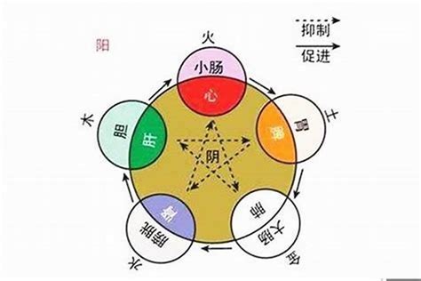 怎么算五行属什么|如何查自己五行什么命 快速查自己的五行属性